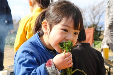 ソレイユの丘_ソレイユ秋野菜 収穫体験！_2_日比谷花壇