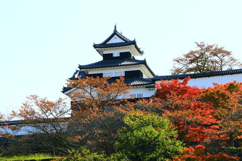 ぬいぐるみだけが参加できる新感覚の旅行ツアーが
紅葉シーズンの福島県白河市で10月29日～31日初開催！