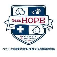 一般社団法人Team HOPE 広報事務局