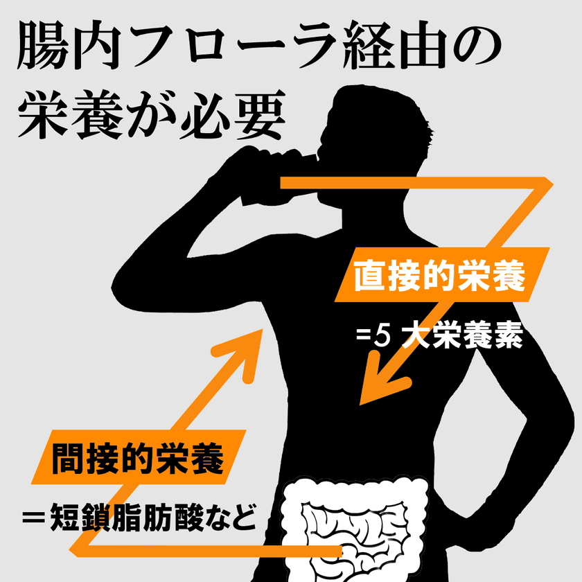 スポーツの日(10月9日)を記念し、ルルミルク割引クーポンを配布
　「運動習慣」×「発酵性食物繊維(ルミナコイド)」で
スポーツ・腸活アップ