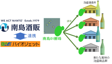 複数酒造所での泡盛開発への活用