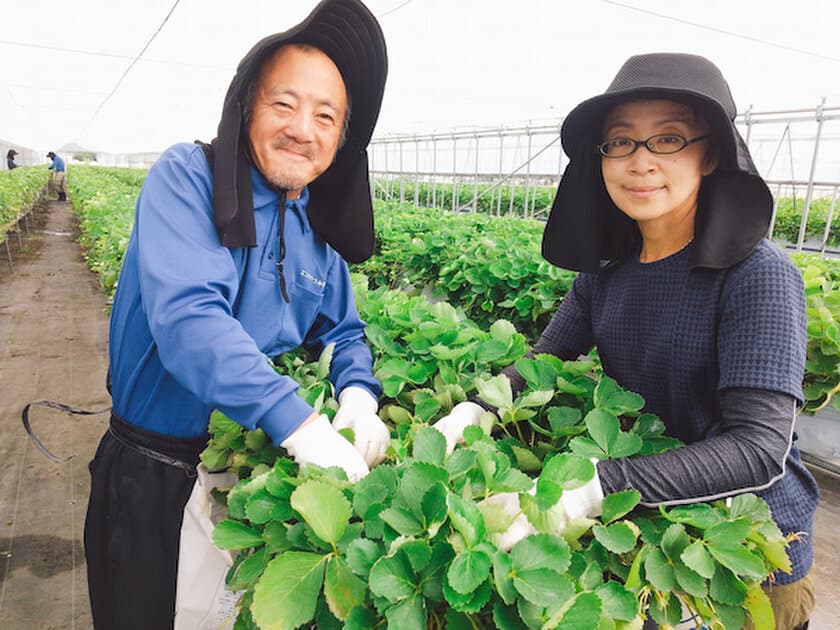 長野県安曇野市の地元農家の野菜や果物をお届けする
イベント「わっこマルシェ」を10月15日に開催！