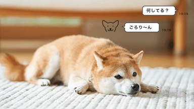 犬　イメージ