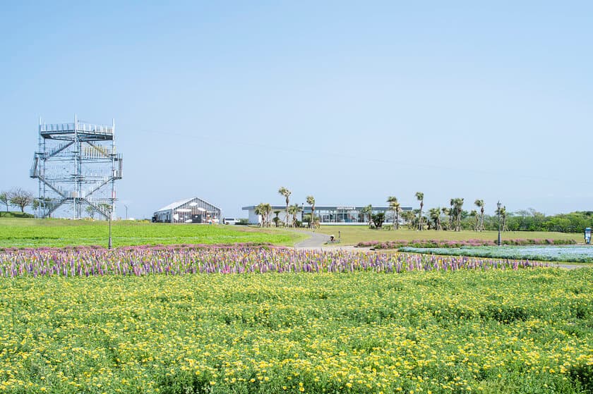 ～第39回都市公園等コンクール～
「長井海の手公園（ソレイユの丘）」が
『都市公園制度制定150周年記念部門』で
国土交通大臣賞を受賞。
同じく、ランドフローラが手掛ける
緑地広場「シモキタのはら広場」が
『設計部門』で会長賞を受賞。