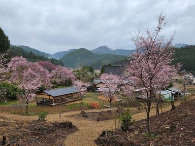 花宝苑