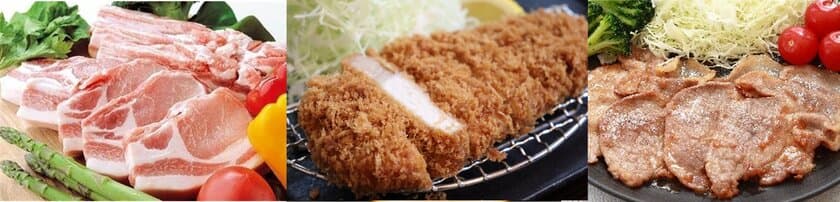 「養豚県ちば」が誇るブランド豚を“ピッグ”アップ紹介！
千葉の畜産品が集結「令和5年千葉県畜産フェア」も11月3日開催