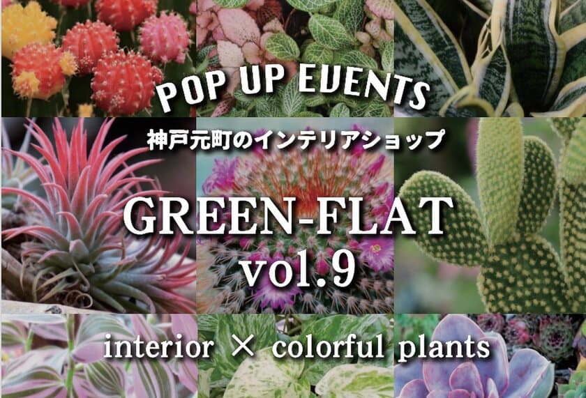 観葉植物が大集合！！
「GREEN-FLAT vol.9～interior×colorful plants」が
11月3日～11月5日に直営インテリアショップにて開催！