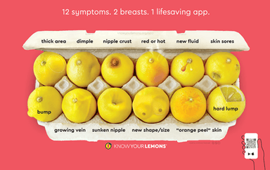 KNOWYOURLEMONS(2)