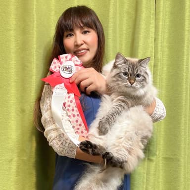 複数のキャットショー1位を受賞