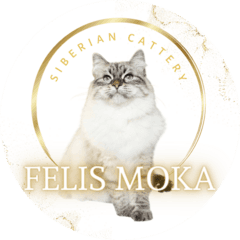 サイベリアン＆ネヴァマスカレードキャッテリー【Felis Moka】