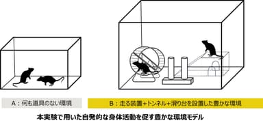 豊かな環境モデルの概要