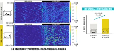 それぞれの環境における身体活動量