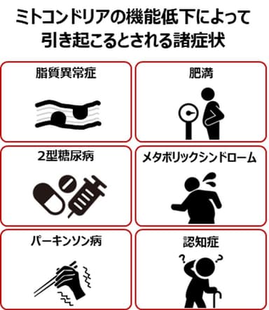 ミトコンドリアの低下によって引き起こるとされる諸症状