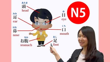 日本語能力試験(JLPT)対応