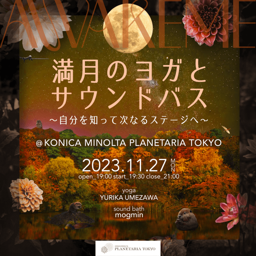 満月の夜、満天の星の下で心を整える
「AWAKEME 満月のヨガとサウンドバス」
11月27日(月)に開催決定！