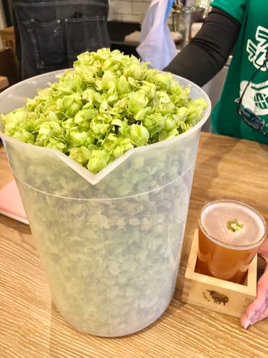 収穫したホップをトッピングした“追いホップ”のビール