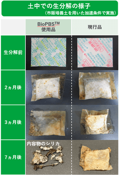 生分解の様子