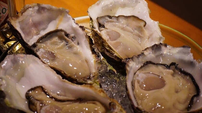 横浜OysterLab 1周年記念！
駅直結のエキニア横浜B1に新店オープン！