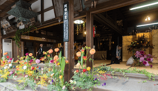 阿弥陀堂が花でいっぱいに