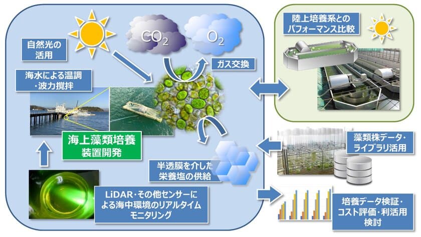 「東京ベイeSGプロジェクト」令和5年度先行プロジェクトに
アルガルバイオ「微細藻類の海上培養モデル」が採択決定！