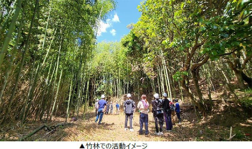 【神戸市須磨区】竹ってすごい！
カーボンニュートラルを楽しく学ぶ里山遠足
12月3日（日）開催！