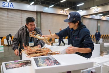 甲羅本店の職人が現地で活ガニを厳選