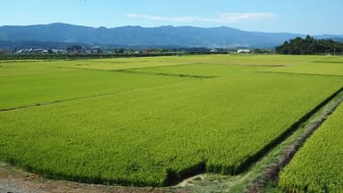 田園風景