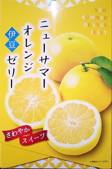 静岡県立伊豆伊東高等学校「伊豆ニューサマーオレンジゼリー」