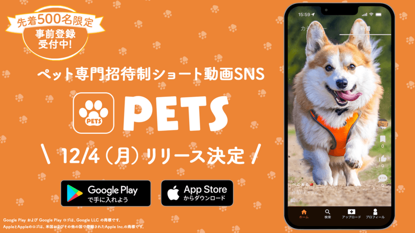 ペット専門招待制ショート動画SNSアプリ「PETS」が新登場！
先着500名様限定で事前登録受付を12月3日 23:59まで実施