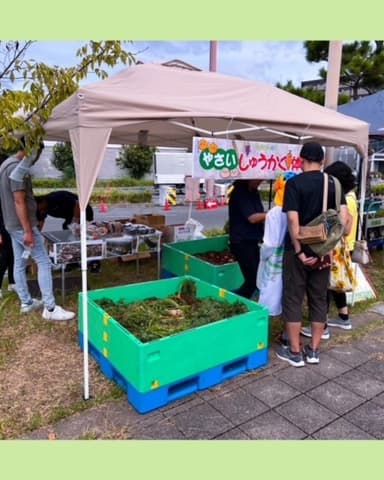 大阪市内で行った収穫体験(2)