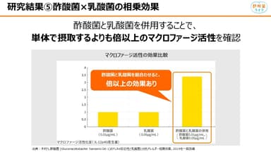 酢酸菌と乳酸菌の相乗効果