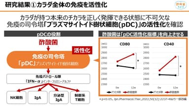 プラズマサイトイド樹状細胞(pDC)の活性化