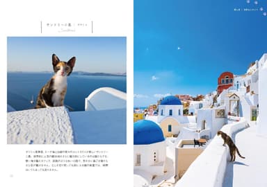 小さな猫の本_誌面2