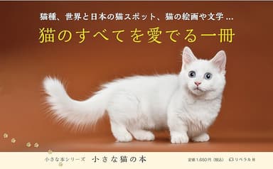 小さな猫の本_POP