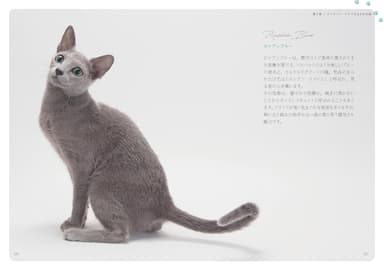 小さな猫の本_誌面1