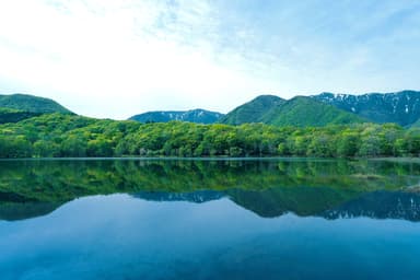 新緑の観音沼森林公園