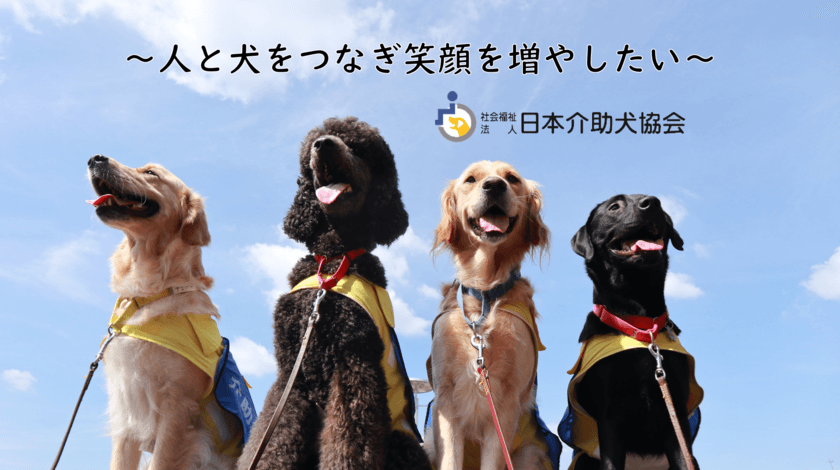 日本介助犬協会が12月31日(日)23時59分まで
「ふるさと納税を活用したクラウドファンディング」を実施
　～募集期間終了まで残りわずか～