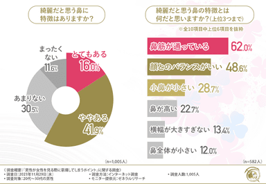 綺麗だと思う鼻の特徴