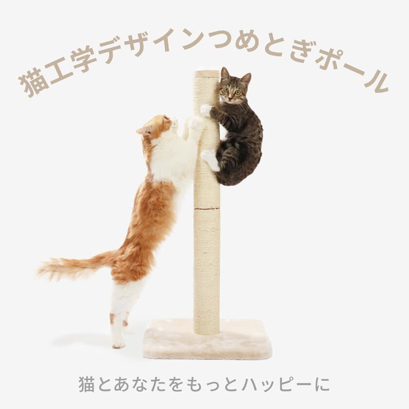 猫オーナーの57％がタテ型タイプの爪とぎを愛用　
即完売するほど大人気、猫が立って伸び伸びとつめとぎができる
「バリバリつめとぎポール 麻」に、より高さのあるLサイズが新登場