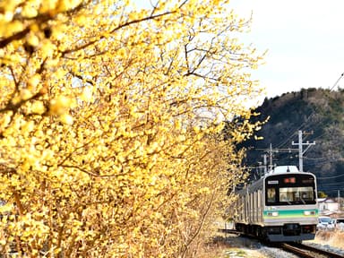 7800系車両　イメージ