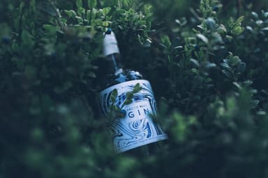 Arctic Blue Gin