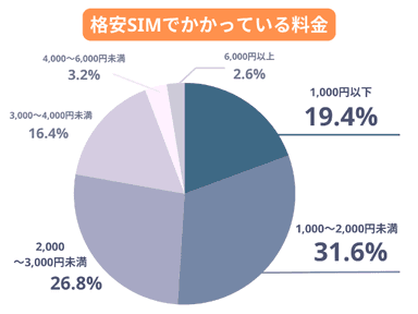 格安SIMでかかっている料金