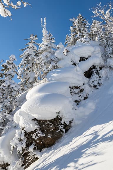 最高峰の雪を追い求めて