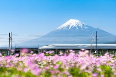 静岡特化、医師の人材紹介