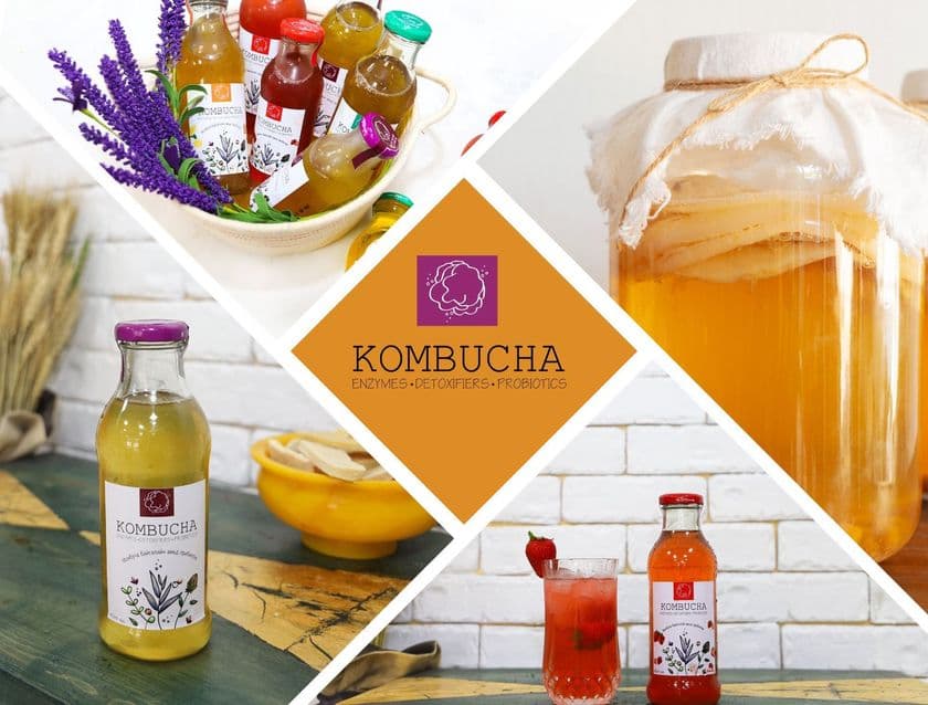 モンゴル老舗のコンブチャメーカー「Kombucha Mongolia」
イーデパ・ワールド株式会社と新商品を開発！3月発売予定