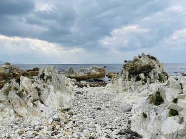 白岩崎海岸