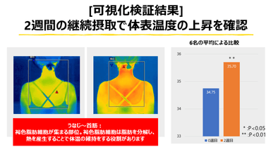 「MCT」を含む食事を2週間継続して行うことで体表温度が上昇