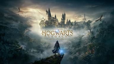 HOGWARTS LEGACY software (C) 2024 Warner Bros. Entertainment Inc. Developed by Avalanche Software. WIZARDING WORLD and HARRY POTTER Publishing Rights (C) J.K. Rowling. PORTKEY GAMES&#44; HOGWARTS LEGACY&#44; WIZARDING WORLD AND HARRY POTTER characters&#44; names and related indicia (C) and (TM) Warner Bros. Entertainment Inc.