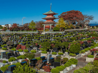 青葉園の様子