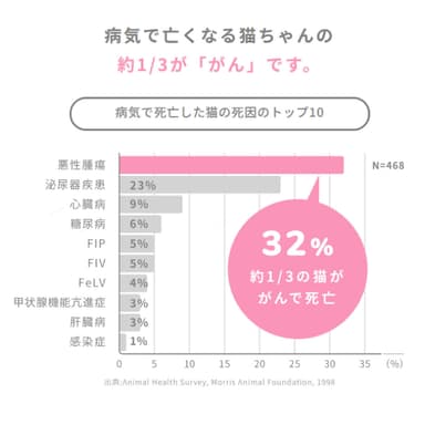 病気で死亡した猫の死因のトップ10